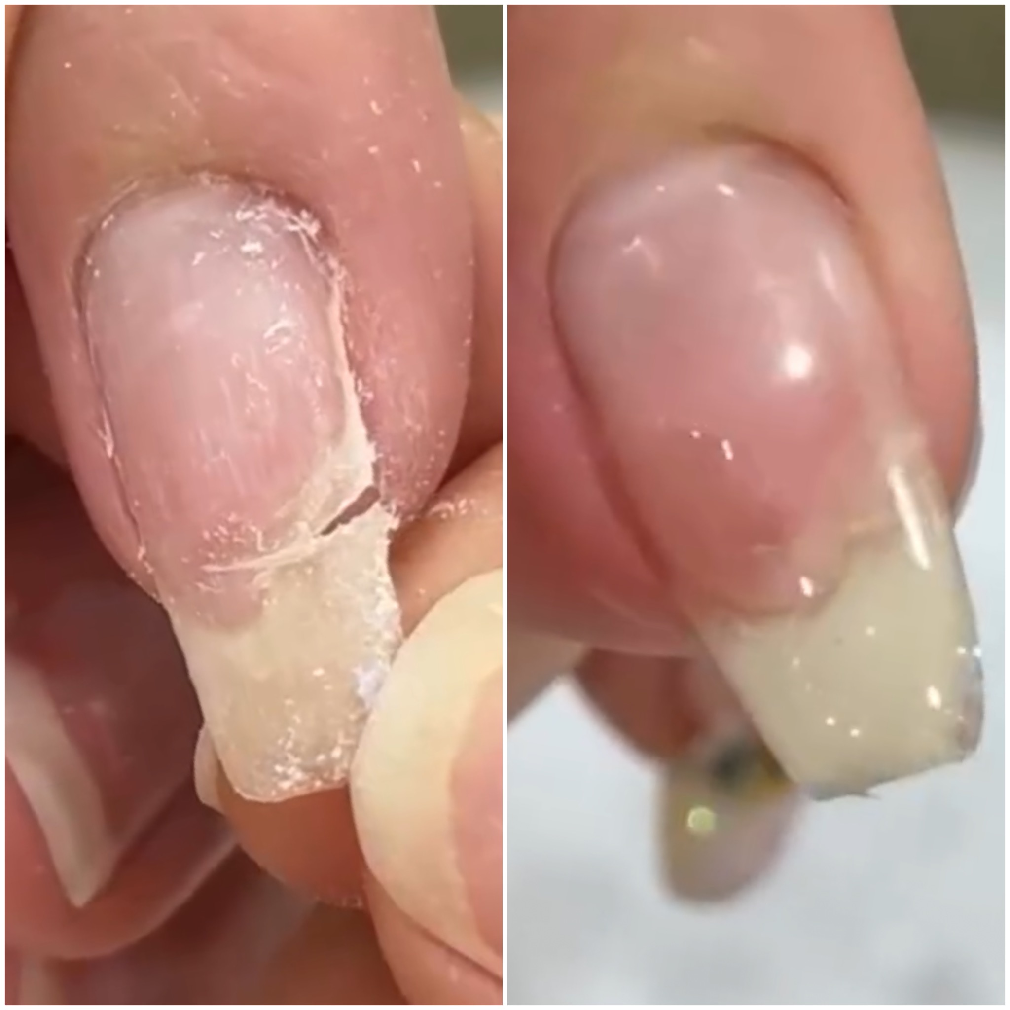 1st Period - Nail Theory & Fiber Extension
